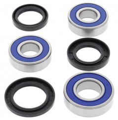 Kit Roulement de Roue Arrière Moto All Balls pour Tiger 955 (04-06) - 25-1557