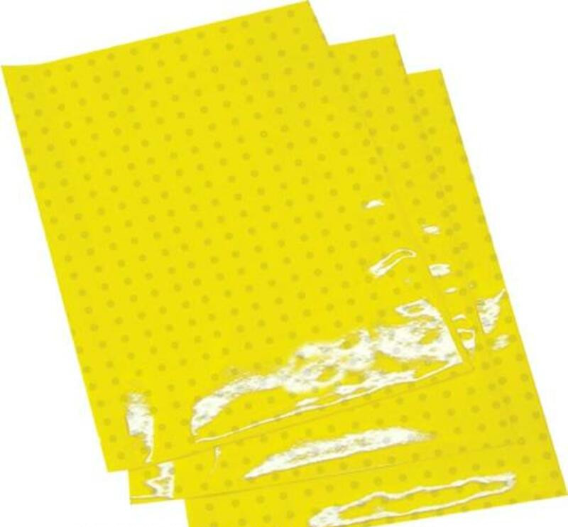 Planches Adhésives CRYSTALL Respirante Jaune Moto / Quad