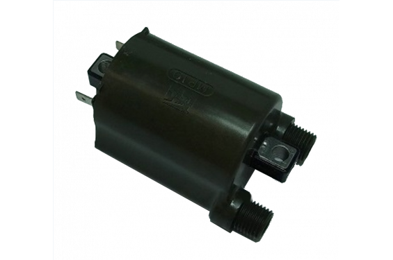 Bobine d'Allumage Moto pour Silverwing 600 (01-12) - IGN-117