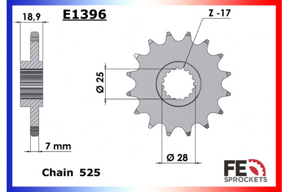 Pignon de Sortie de Boîte FE pour BMW F650 GS (08-12)