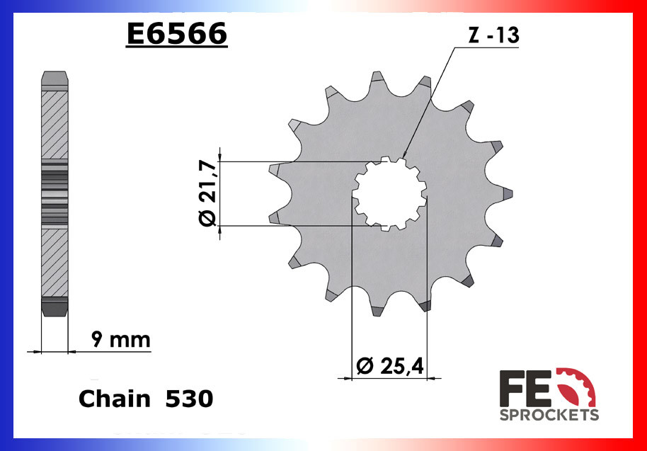 Pignon de Sortie de Boîte FE pour Yamaha FZS 600 Fazer (98-03)