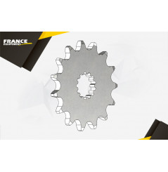 Pignon de Sortie de Boîte FE pour Kawasaki ER6 N et F (05-17)