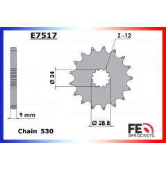 Pignon de Sortie de Boîte FE pour Kawasaki ZZR 1400 (06-20)