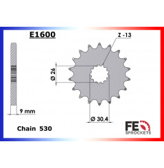 Pignon de Sortie de Boîte FE 530 pour Triumph 955 Tiger (01-06)
