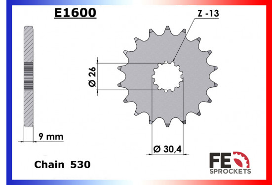 Pignon de Sortie de Boîte FE 530 pour Triumph 900 Legend TT (98-03) Pignon de Sortie de Boîte FE 530 pour Triumph 900 Legend TT (98-03)