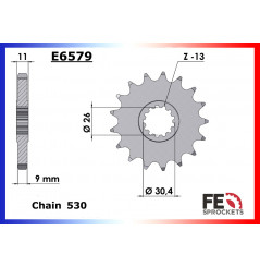 Pignon de Sortie de Boîte FE 530 pour Yamaha FJ 1200 (86-97)