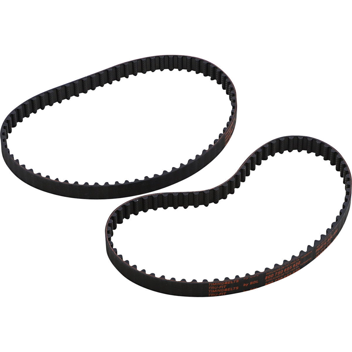 Courroie de Distribution Tru-Fit pour Ducati Monster 695 (07-08) BDL-800
