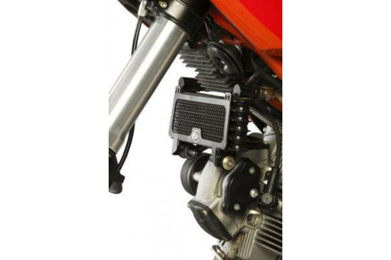 Protection de Radiateur d'Huile Alu Rouge R&G pour Ducati 796 Hypermotard (10-12) - OCG0006RE