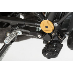 Sélecteur de Vitesse Réglable SW-Motech pour BMW R-Nine-T (14-22) FSC.07.512.10000