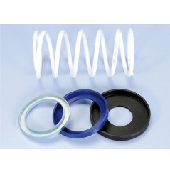 Ressort de poussée +3% Polini pour T-Max 500 - 530