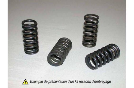 Kit ressorts d'embrayage moto Tourmax pour 1300 Pan European (02-17) - HSP-151-6 Kit ressorts d'embrayage moto Tourmax pour 1300 Pan European (02-17) - HSP-151-6
