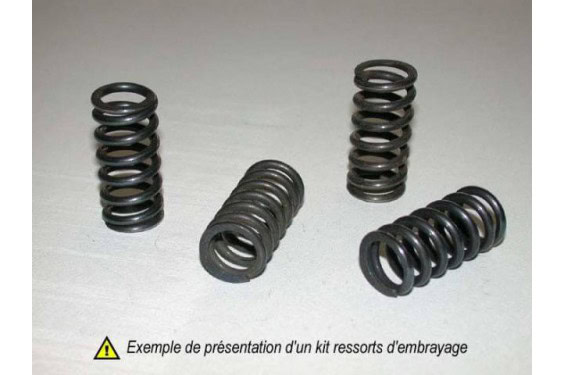 Kit ressorts d'embrayage renforcés moto Tourmax pour 535 Virago (88-00) - HSP-203-5