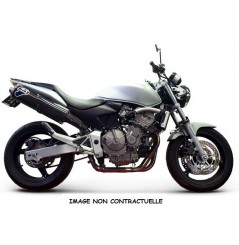 Silencieux moto Termignoni Carbone pour Honda 600 Hornet (03-06)