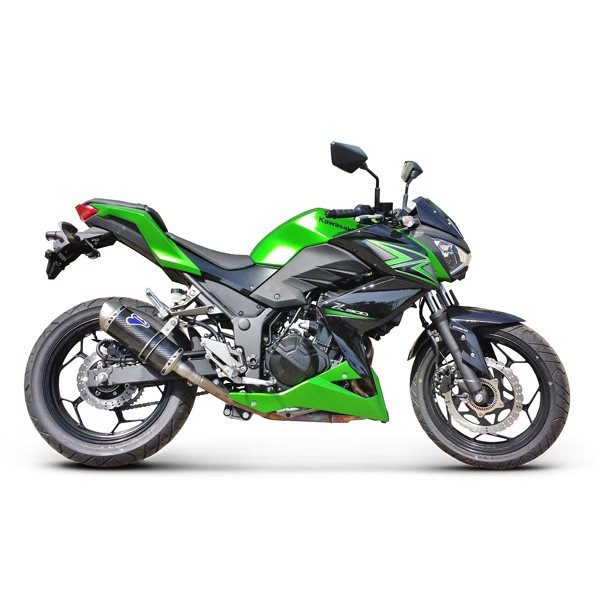Silencieux moto Termignoni Relevance pour Kawasaki Ninja 300 (12 -14)