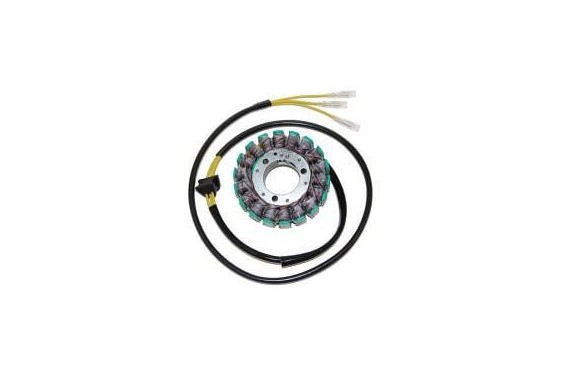 Stator d'allumage Moto Electrosport pour SUZUKI GS500E / GS 650 / G / GL / KATANA / GS 850GT Stator d'allumage Moto Electrosport pour SUZUKI GS500E / GS 650 / G / GL / KATANA / GS 850GT