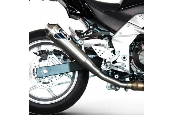 Silencieux moto Termignoni Conique pour Kawasaki Z750 (07-12) Silencieux moto Termignoni Conique pour Kawasaki Z750 (07-12)