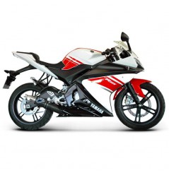 Silencieux Termignoni Rond Carbone pour YZF-R125 (08-13)