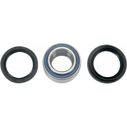 Kit Roulements de Roue Moose Avant pour 400 DVX (04-08)