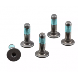 Vis de Disque de Frein avant pour BMW R1250GS - Adventure (19-24) MSS116-5