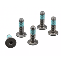 Vis de Disque de Frein avant pour BMW K1300GT (09-11) MSS116-5