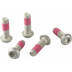 Vis de Disque de Frein avant pour BMW R850R (00-07) MSS113-5