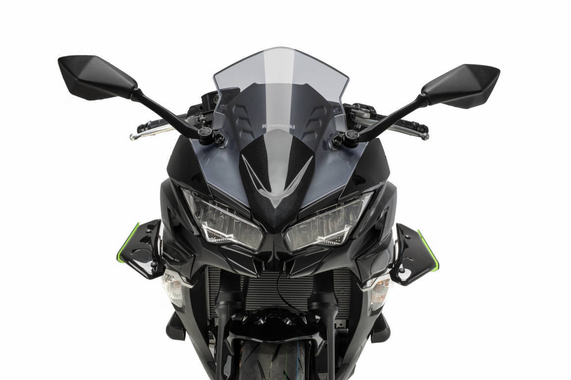 Aileron Latéral Downforce Sport Puig pour Kawasaki Ninja 650 (20-25)