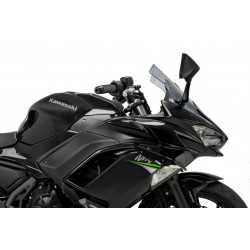 Aileron Latéral Downforce Sport Puig pour Kawasaki Ninja 650 (20-25)