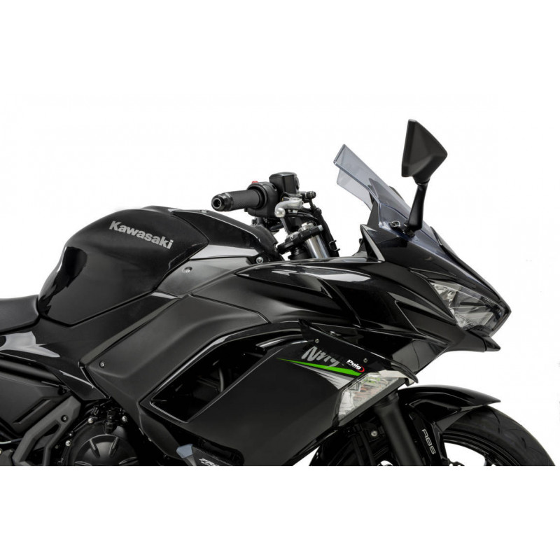 Aileron Latéral Pour Kawasaki Z650 (2017-2023) - Capot De Radiateur En ABS, Style Sportif - Améliore L'aérodynamisme Et La Protection (non Peint)