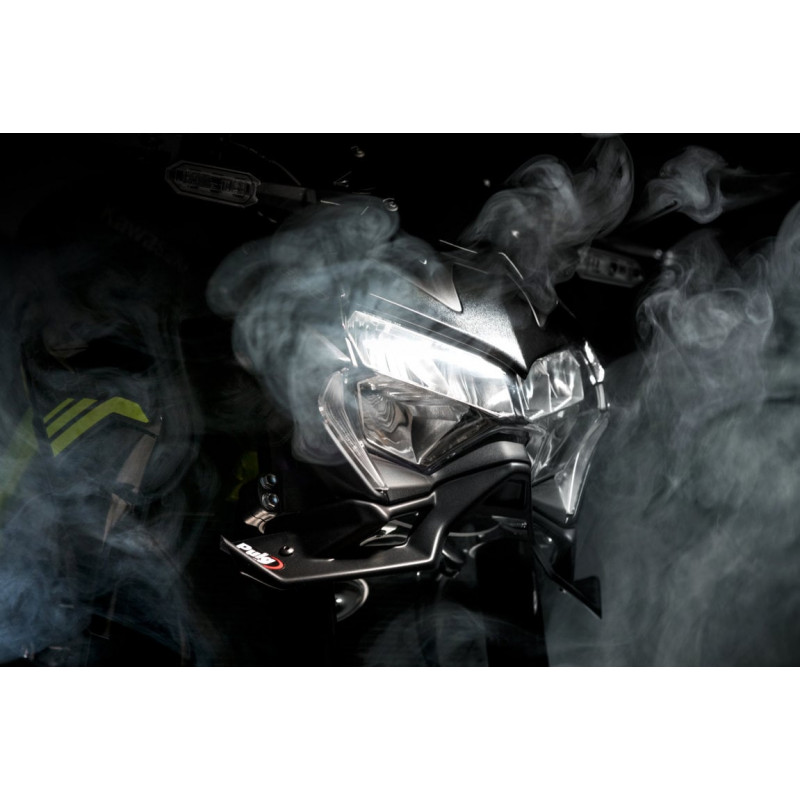 Aileron Frontal Downforce Roadster Puig pour Kawasaki Z 900 - Z 900 SE (20-24) Aileron Frontal Downforce Roadster Puig pour Kawasaki Z 900 - Z 900 SE (20-24)