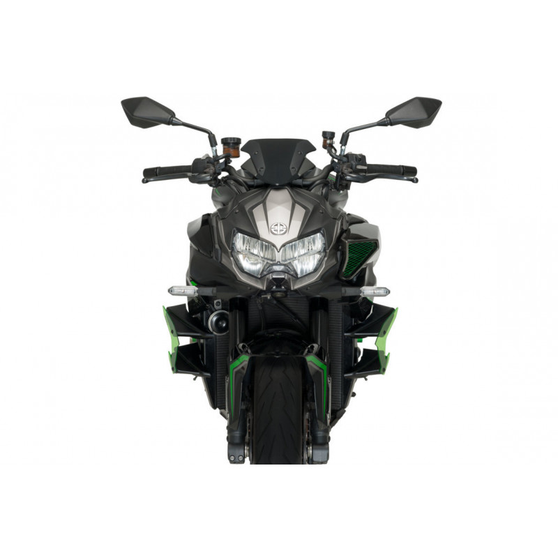 Aileron Latéral Downforce Roadster Puig pour Kawasaki Z H2 (20-24) Aileron Latéral Downforce Roadster Puig pour Kawasaki Z H2 (20-24)