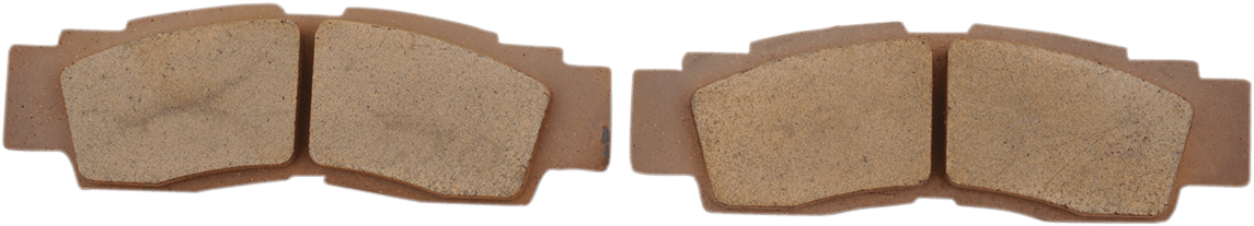 Plaquette de Frein Avant Quad et SSV DP Brakes DP598
