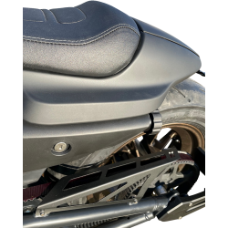 Carter de Courroie pour Harley Davidson Sportster 1250 S (21-24)