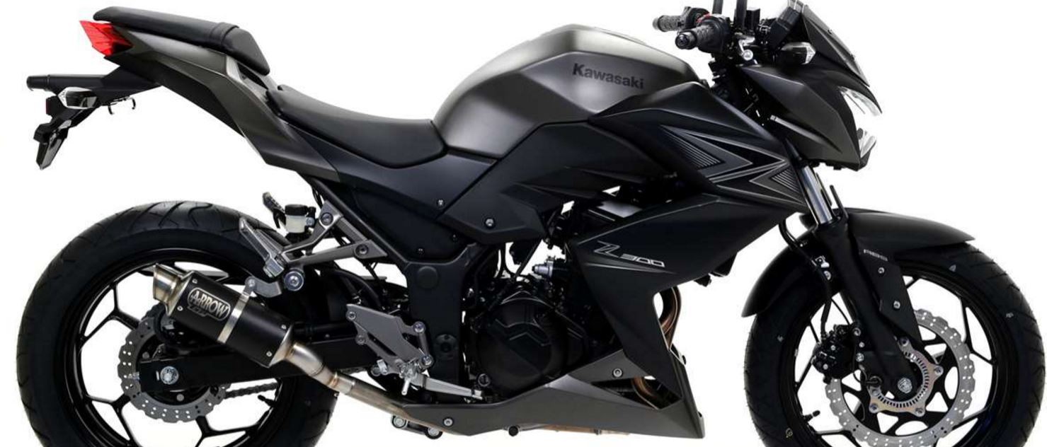 Silencieux ARROW GP2 pour Kawasaki Z300 (15-16)