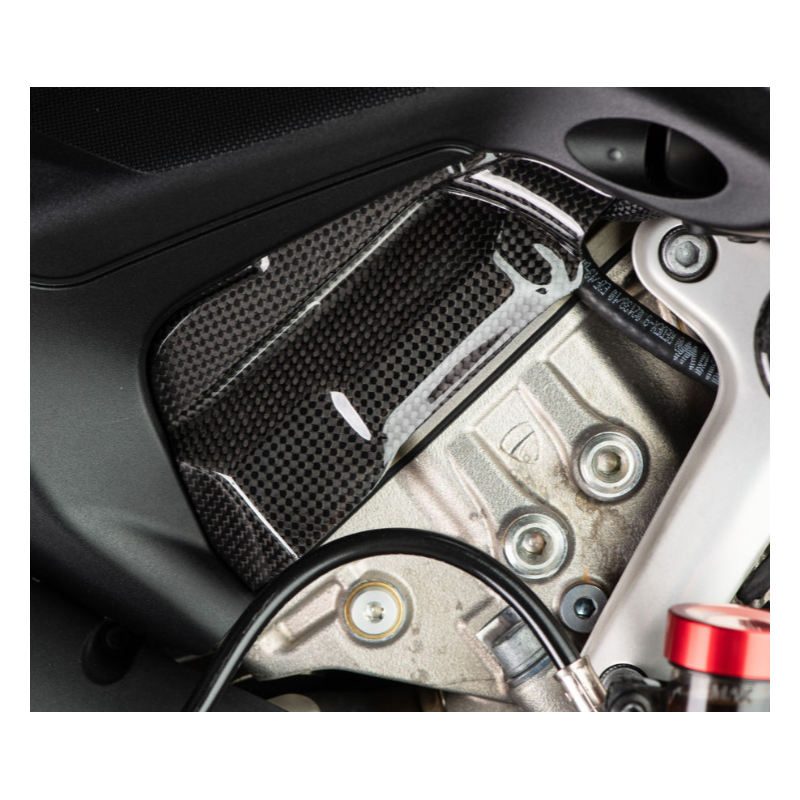 Protection Cylindre LighTech pour Panigale 1100 V4 (18-24)