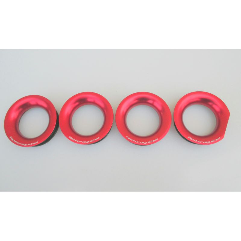 Cornets d’Admission Venturi Racing pour BMW S 1000 RR (18-21) Cornets d’Admission Venturi Racing pour BMW S 1000 RR (18-21)