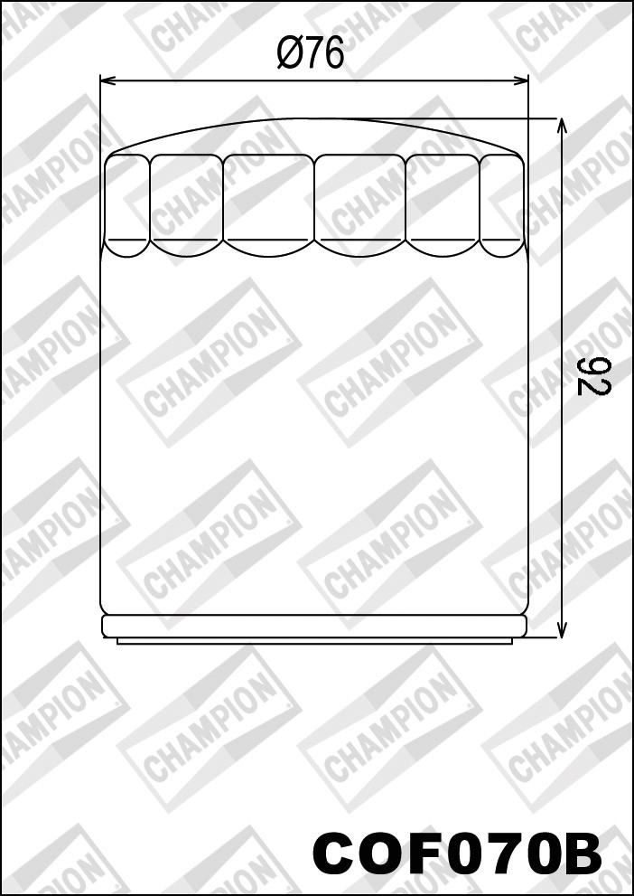 Filtre à Huile Moto Champion COF070B