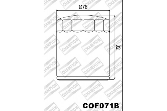 Filtre à Huile Moto Champion COF071B