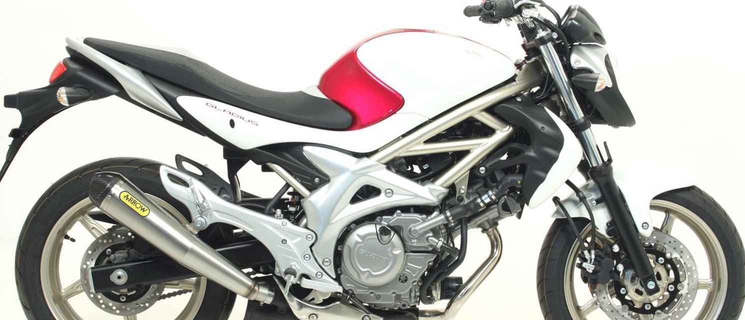 Silencieux ARROW Pro-Racing pour Gladius 650 (09-15)