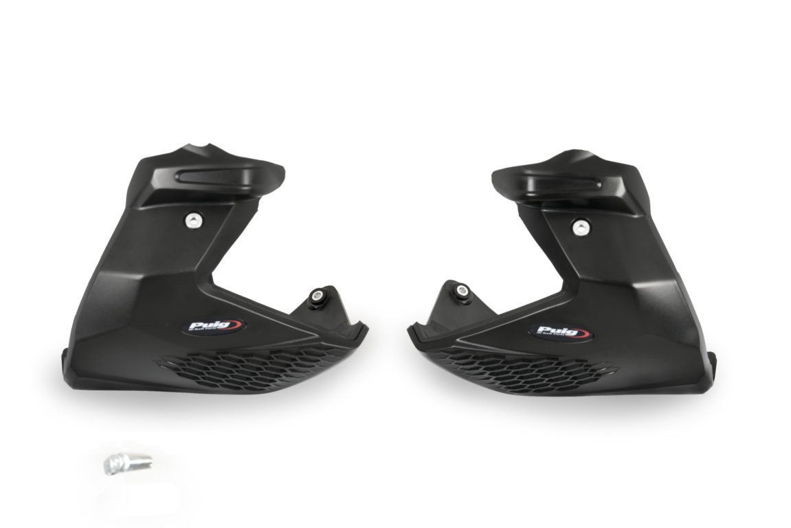 Protection de Carter Puig pour R 1250 R (19-25)