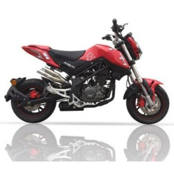 Silencieux Ixil L2X pour TNT 125 (17-25) XB 5306 V