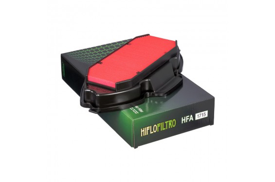Filtre à air HFA pour Integra 700 et 750 (12-20)