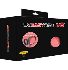 Housse De Protection GPS / PHABLET Tecno Globe So Easy Rider V6 T4 Paysage