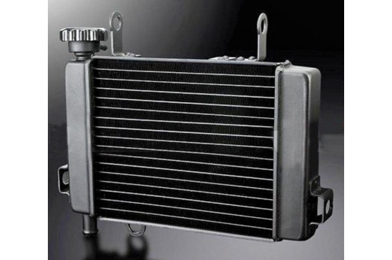 Radiateur D'eau pour CBR125 (04-06) Radiateur D'eau pour CBR125 (04-06)