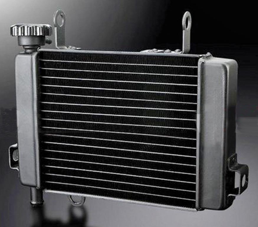 Radiateur D'eau pour CBR125 (04-06)
