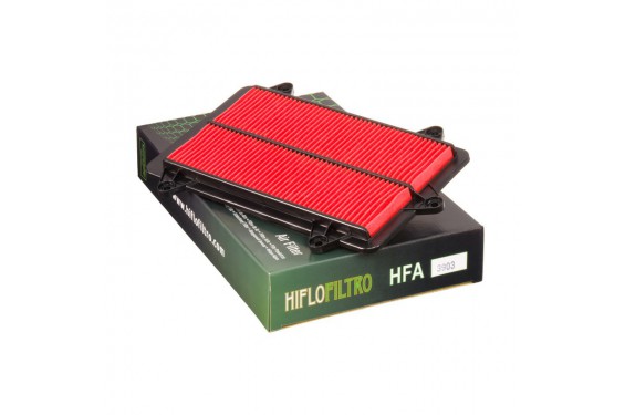 Filtre à air HFA3903 TL1000 R (98-02)