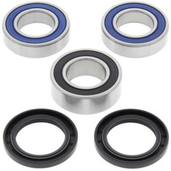 Kit Roulement de Roue Arrière ALL BALLS pour Sherco 300 SE F-R (14-15) - 25-1556