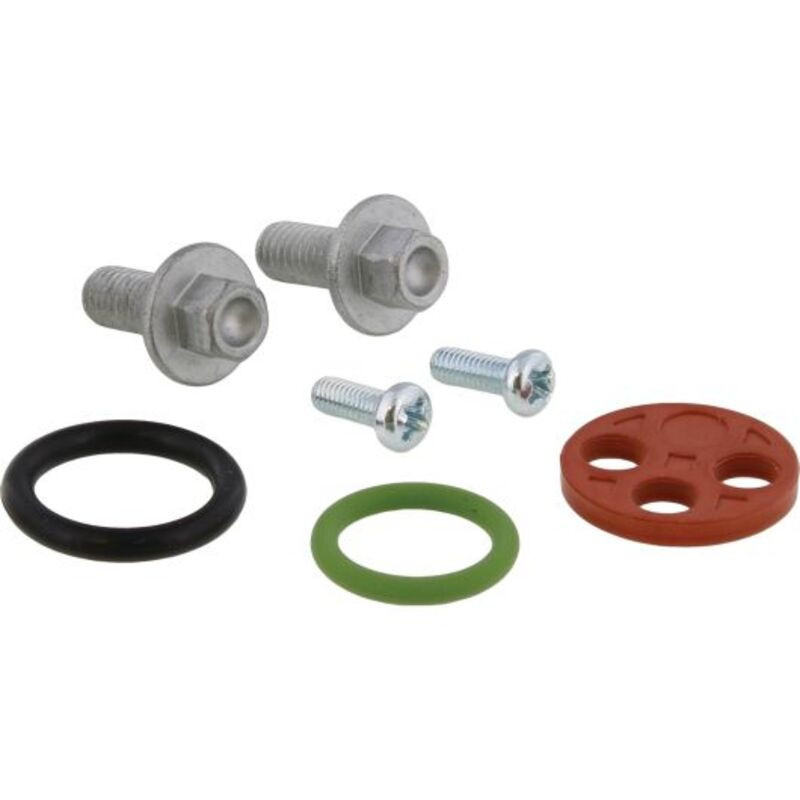 Kit Réparation Robinet d'Essence All Balls pour Beta RR 450 4T Enduro (10-14) - 60-1231