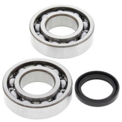 Kit roulements et joints spi de vilebrequin ALL BALLS pour Kawasaki KX 250 F (04-18) - 24-1081