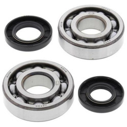 Kit roulements et joints spi de vilebrequin ALL BALLS pour Suzuki RM 65 (03-05) - 24-1006