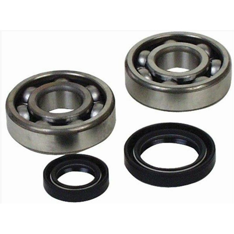 Kit Roulements et Joints Spi de Vilebrequin All Balls pour Yamaha YFZ 350 Banshee (88-11) - 24-1034 Kit Roulements et Joints Spi de Vilebrequin All Balls pour Yamaha YFZ 350 Banshee (88-11) - 24-1034